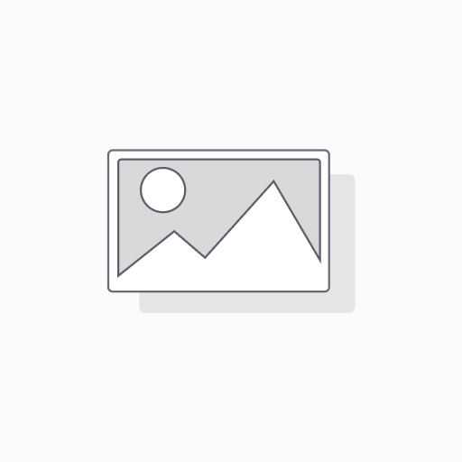 165R14C 91S TRIANGLE TR652