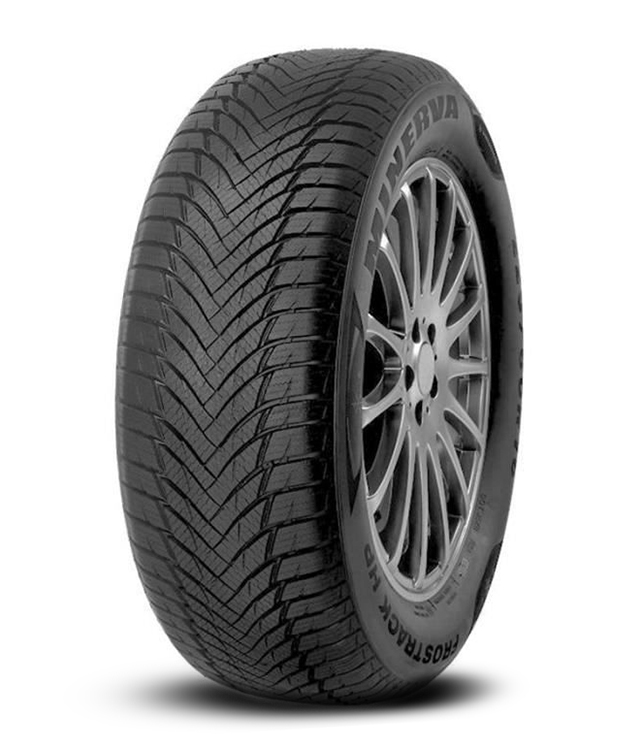 195/55 R16 87H MINERVA Frostrack HP