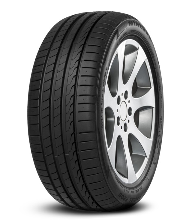225/55 R17 101W MINERVA F205